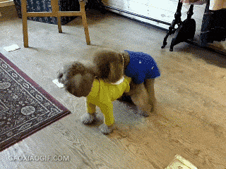 cc98860b41861ad9d4c6b9cedc7a66be.gif