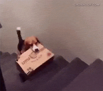 cc7c1db754eb96470a28ab41e87ddc8d.gif