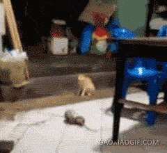 7e7083b5e27011f62ab039f843a5ecd0.gif