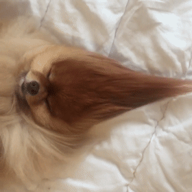 153ac06a7e931067f36fa01f12d4347d.gif