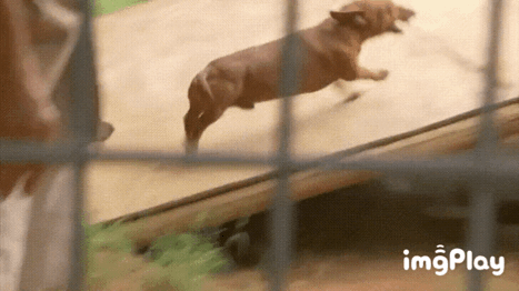 07c355468dc492838420088a521ddc0b.gif