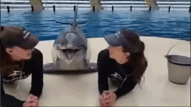 a677b609b55e601144ed34e3f1688472.gif