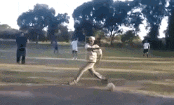 t01f729371fbd29954c.gif