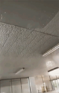 t011f5ce5589c09f388.gif