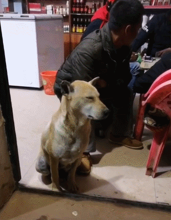 8366938791e656fe0adac05b589e6629.gif