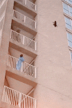 3b3c8122d12f14a59b5dd3c8c948fd61.gif