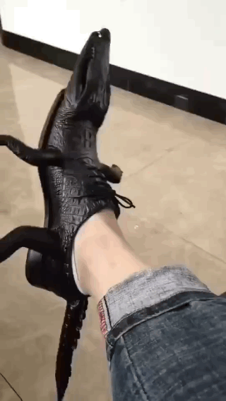 c3a4c30842a286875569d15c679a2043.gif