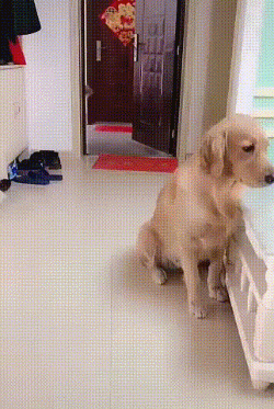 62ebeb40e190a6aca6b6da30885ca5d3.gif