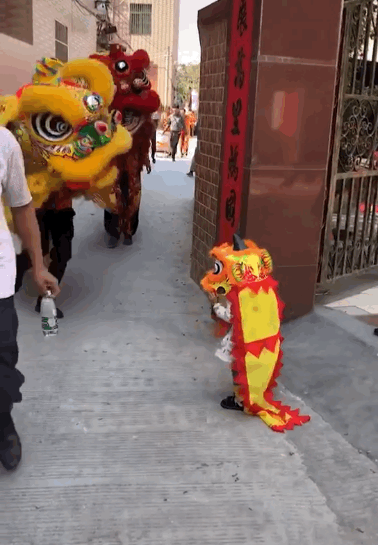 e25aae198d33019ff9a5a3afd5f661eb.gif