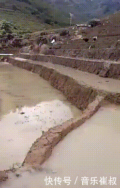 t01afca41bf89f99b63.gif