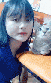 e77f3ada1bcdea243f9a84b2c95ba860.gif