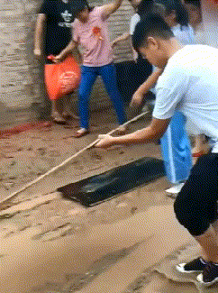 t01f8cf733882d30217.gif