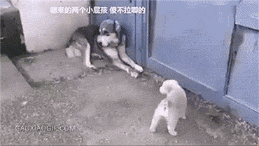70aff6028b8f935fcf4c5832479334d2.gif