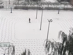 dd4ca7e4a18ce995ff01dd7d35e2579c.gif