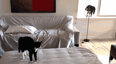 6de6e2bfab91b7b79c4bb064b72ff16f.gif