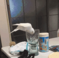 t01791676322e8b1732.gif