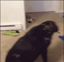 t01ec20a52aab7ddf36.gif