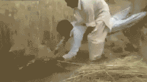 t01df91ee076a3083e0.gif