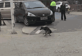 522860a3b286ac7d97d9c7a50c4a360d.gif
