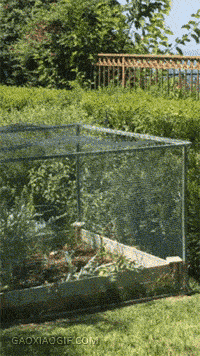 65c72683a35383880e3e375d294e1c62.gif