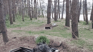t0195f9edc7ed3ad31b.gif