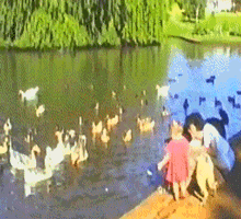 d5f1f5c835c24fbdb98d191d12fb81a1.gif
