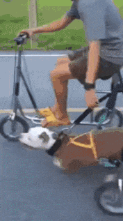 t0199fc8622bbfeb1a7.gif