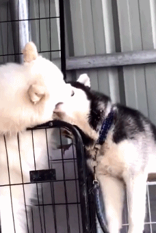 93ab4b7d476cd7145a4fa751931f6776.gif