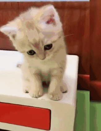 e14fe7a47d1b9dfb8195fb2c2d2e479a.gif