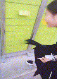 t01c98206da161427f3.gif
