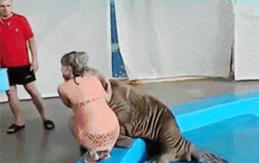 t01030ff4c0f331bfa4.gif