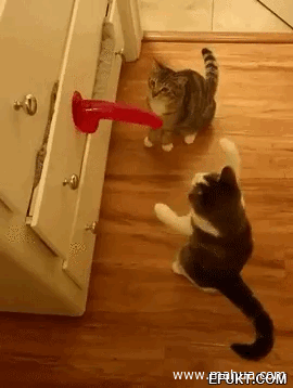 6707ddb9141af0b4166d8b2116ab4729.gif