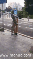 15e7906625972f77df7117bb5b081670.gif