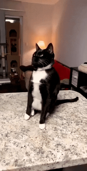 b1273d652be4dc47d7e2c7f2610e3195.gif