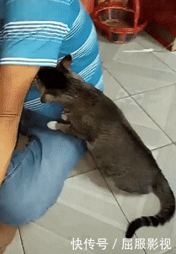 t01a4afc74e2f6a47e4.gif