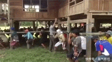 t011db32638082c9ed0.gif