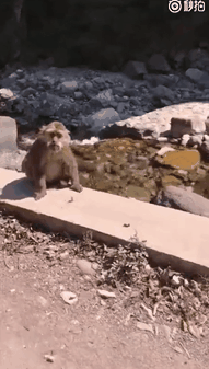 c6ad412acef7b250f68f7a63fdd65de0.gif