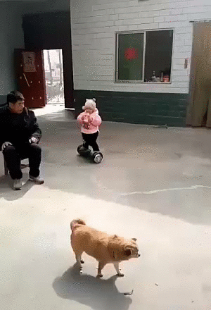 671b72dc5c2d7737eb0e17399b37848d.gif