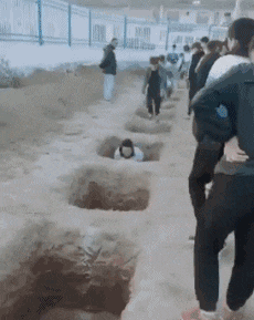 t017f26ba1e0f9d35d1.gif