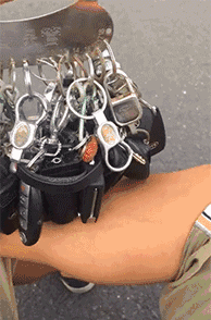 t01440aaa8a88dc9690.gif
