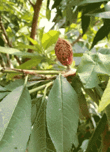t0136156495df82e13e.gif