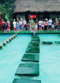 t011df119edfa0a45ba.gif