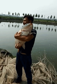 t01cf74377e19c084fc.gif