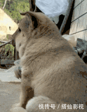 t011cc2a469e9160138.gif