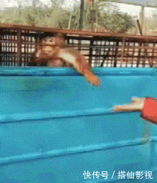 t0185d356d066a87665.gif