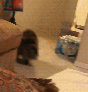 16fc7c7e3e198fbb8bc4b79181c4acf1.gif