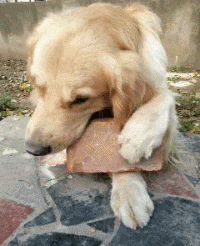 69a06913fa54bbddbda1b4ee3ad7fddd.gif