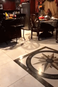 7dc5364d565617060980429abdde0d26.gif