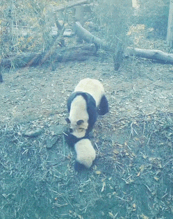 7e3028087883e80a36152f7b891937cc.gif