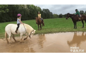 6e25437cd04b9b1fc7af37e1162ed847.gif